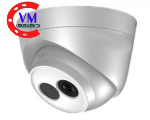 Camera IP Dome hồng ngoại 2.0 Megapixel HDPARAGON HDS-2120IRP/D